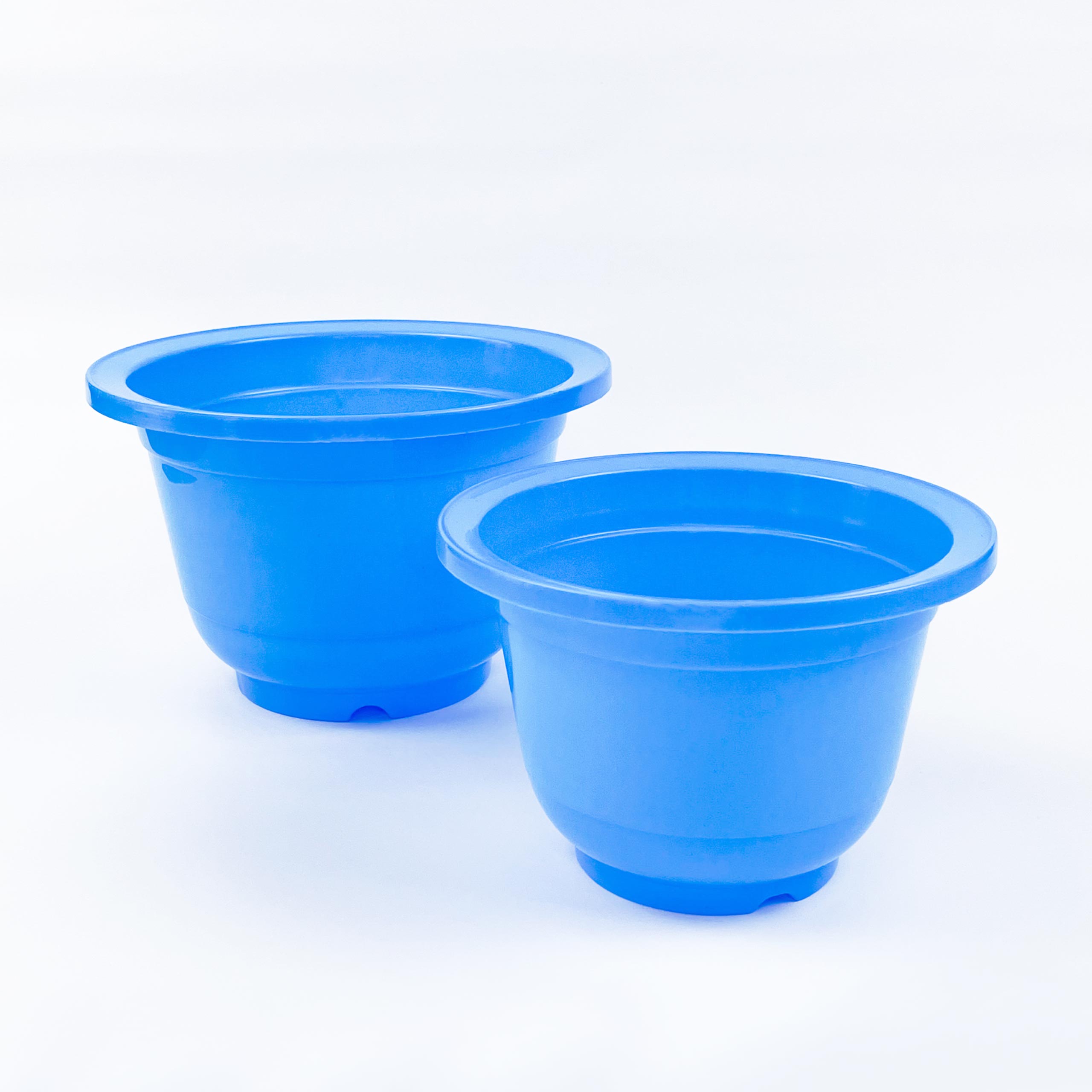 blue-flower