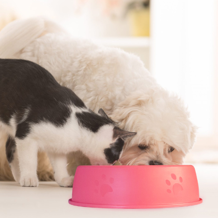 pet-bowl-1