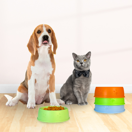 pet-bowl