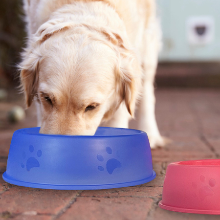 round-pet-bowl